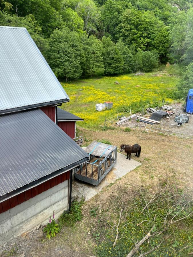 شقة Bjorkely Gard Rasvag المظهر الخارجي الصورة